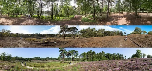 overasseltse en hatertse vennen 01