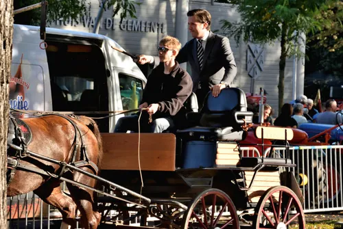 paardenmarkt 2018 03