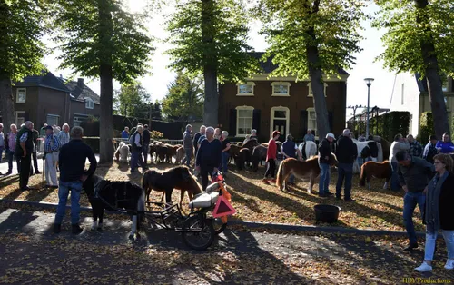 paardenmarkt 2018 04