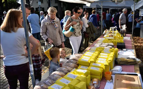 paardenmarkt 2018 06