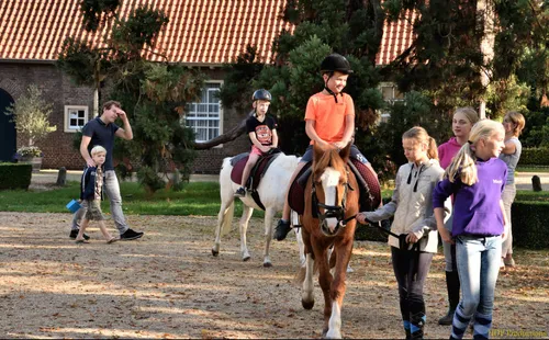 paardenmarkt 2018 08