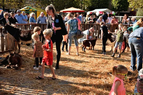 paardenmarkt 2018 09