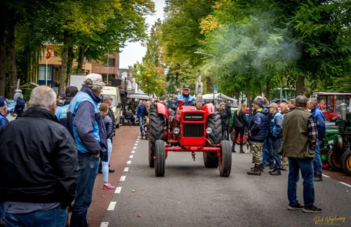paardenmarkt wijchen 2019 02