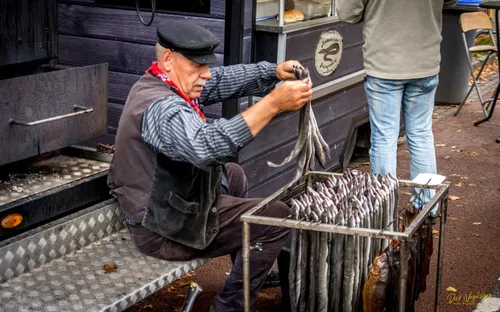paardenmarkt wijchen 2019 03