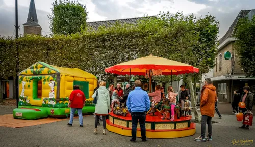 paardenmarkt wijchen 2019 14
