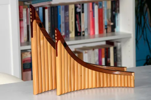 panfluit teun hendrikx