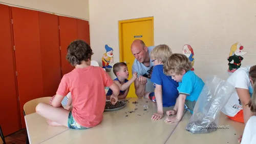 schatgraven de bije dries 03