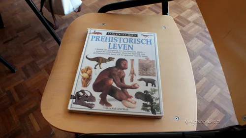 schatgraven de bije dries 04