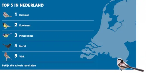 schermafbeelding 2021 01 30 om 173339