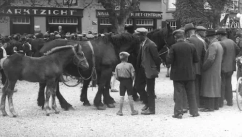 schermafbeelding 2021 07 21 om 094328 915x518 1