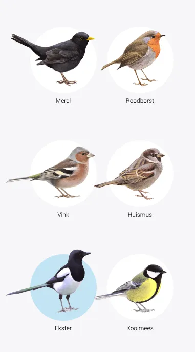 schermafbeelding 2022 01 31 om 155656