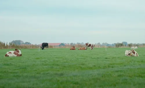 schermafbeelding 2022 08 02 om 123901