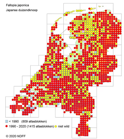 schermc2adafbeelding 2023 02 26 om 164556