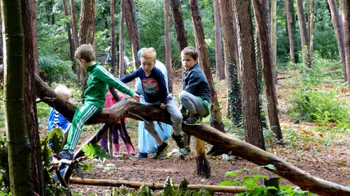 scouting alverna 2017 0016