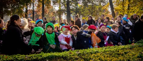 sinterklaas 2019 01