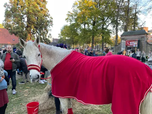 sinterklaas wijchen 12 11 2020 cizo img 6627 groot