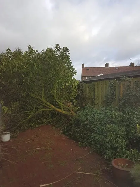 stormschade wijchen 180117 02