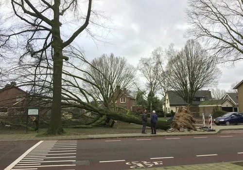 stormschade wijchen 180117 03
