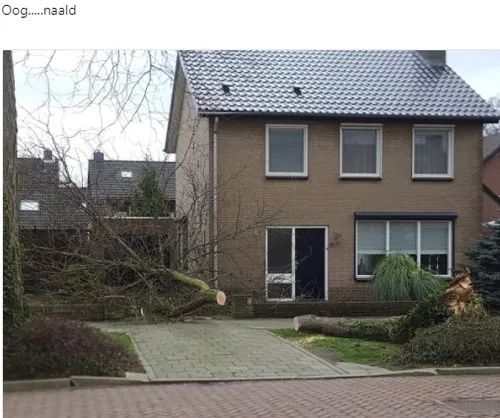 stormschade wijchen 180117 07