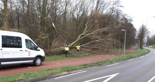 stormschade wijchen 180117 08