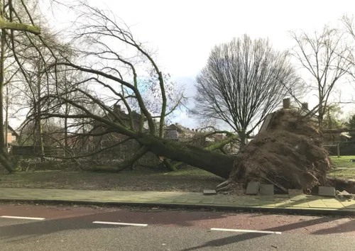 stormschade wijchen 180117 12