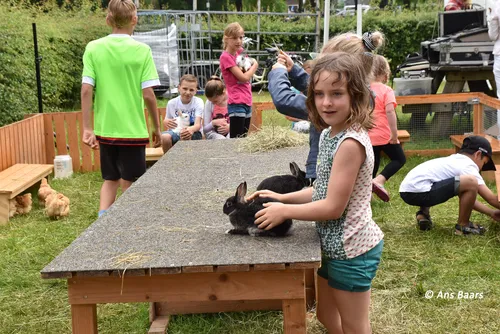 stratenmarkt hernen 2016 33