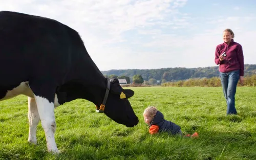 streekgala 2015 koe en kind