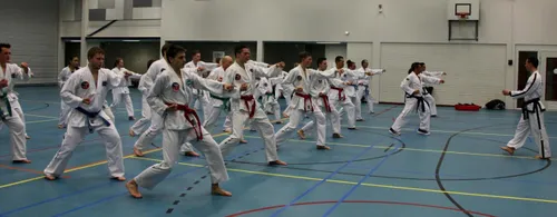 taekwon do academie taekyon alverna 02