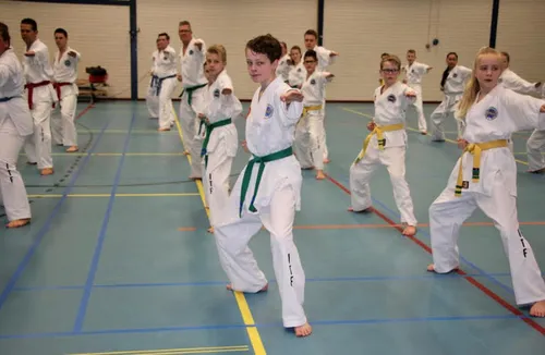 taekwon do academie taekyon alverna 03