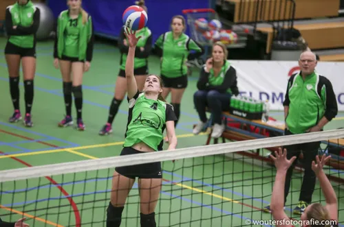 trivos rebelle 161217 04