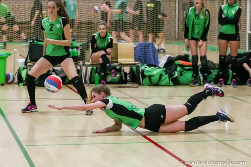 trivosdames 090218 04