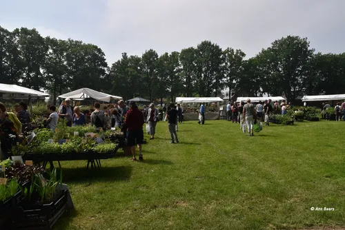 tuinmarkt hernen 2016 03