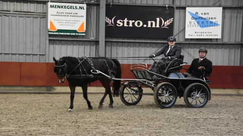 vap land van maas en waal dresseur vaardigheden 0005 0005