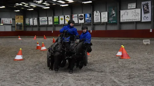 vap land van maas en waal dresseur vaardigheden 0022 0022 0022