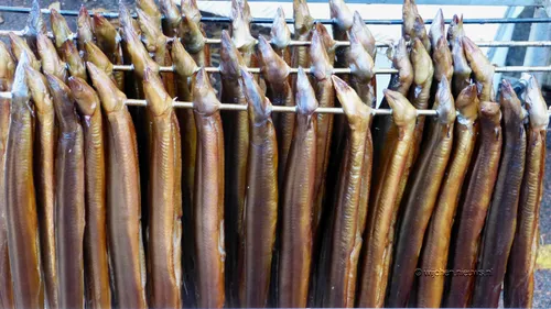 veemarkt wijchen 20170035