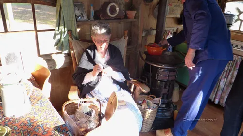 veemarkt wijchen 20170045