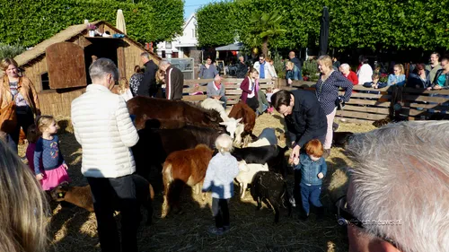veemarkt wijchen 20170104