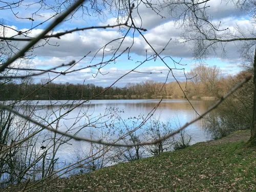 vormerse plas img 7584 fotor