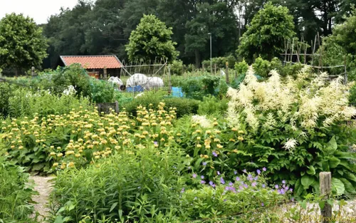 vrijwilligersdag hagert 2018 04