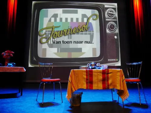 zonnebloem wijchen 270518 02