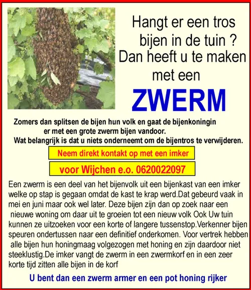 zwerm bijen artikel
