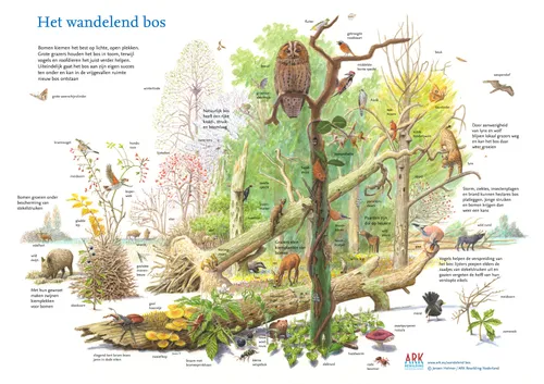 Illustratie uit het boek 'Wildernis in eigen land'