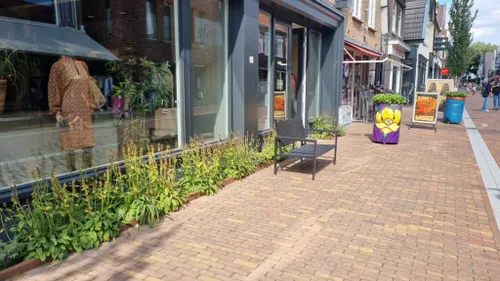 Dit is een voorbeeld van geveltuintjes in Ede.