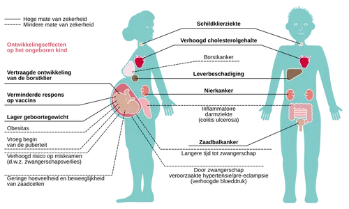 Effecten van de blootstelling aan pfas op het menselijk lichaam. Bron:&nbsp;Europees Milieuagentschap