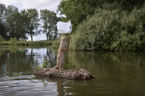 mg 4825 72 jeroen wandemaker