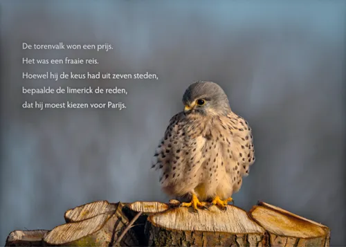 schermafbeelding 2025 05 22 om 152220