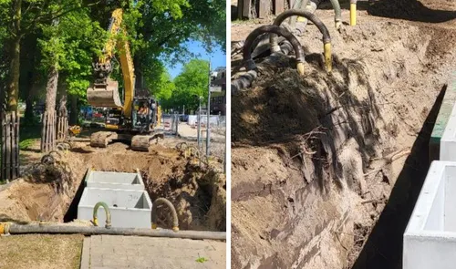 Links machinale graafwerkzaamheden aan de Kasteellaan, rechts de vernielde wortels. Foto: GroenLinks