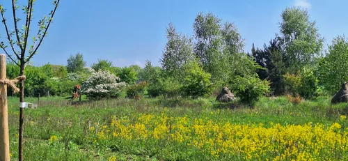 Het terrein van Bert van den Hoogen. Foto: Stichting Landschapsbeheer Gelderland