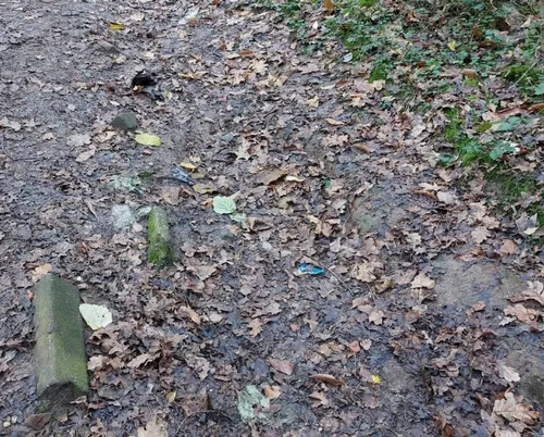 Scherm­afbeelding 2025-07-10 om 13.12.48