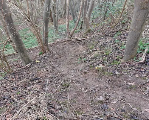 Scherm­afbeelding 2025-07-10 om 13.13.20